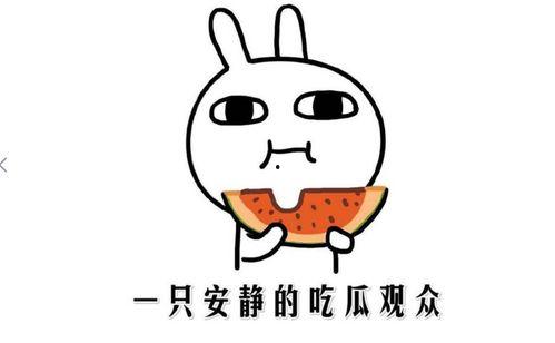 吃瓜黑料在线视频